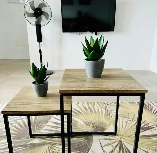 Piedranegra فيلة